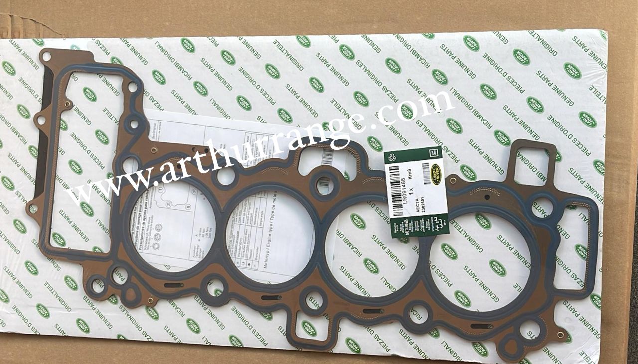 Engine Gasket - View 4