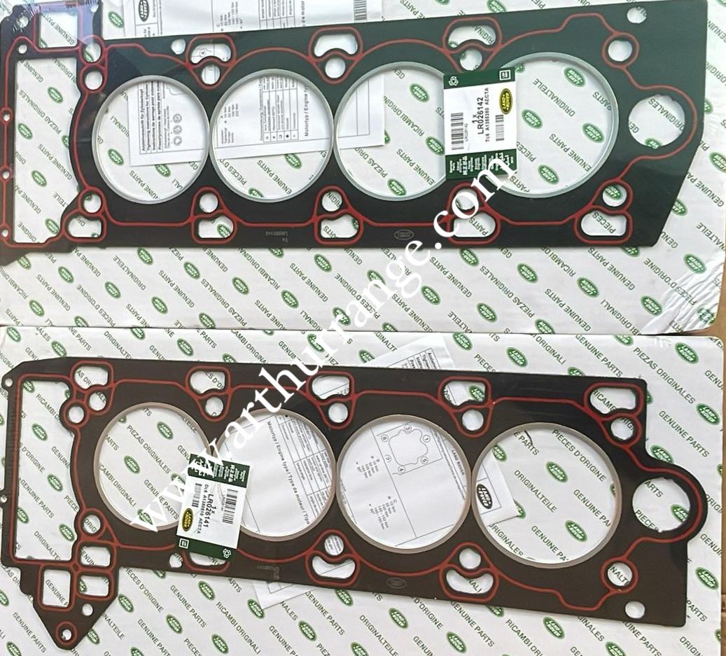 Engine Gasket
