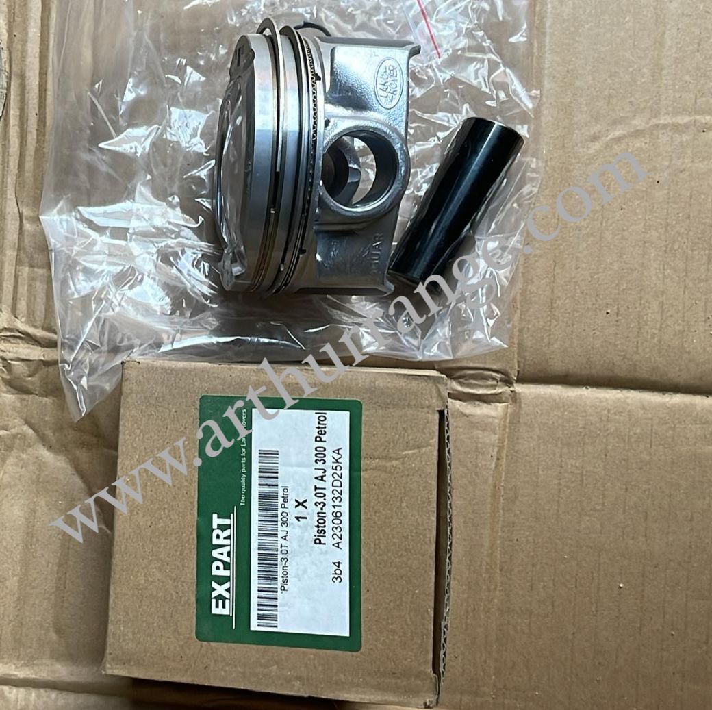 Piston / Rings - View 2