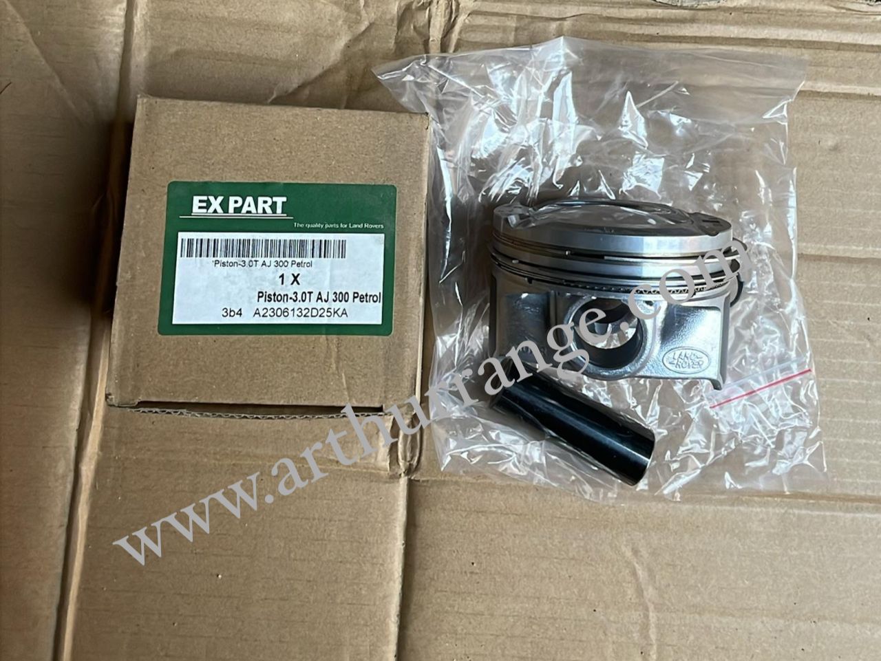 Piston / Rings - View 3