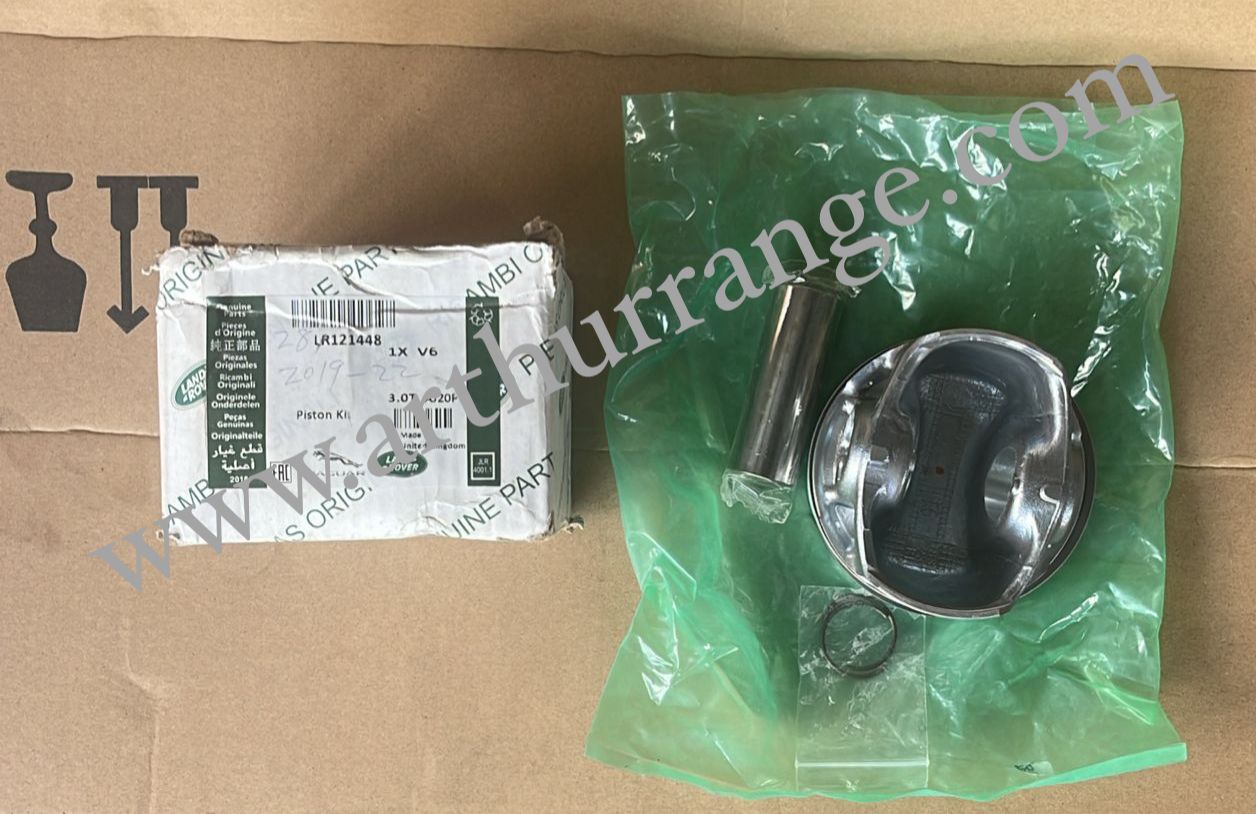 piston / Rings