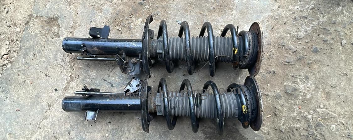 Shorck Absorber