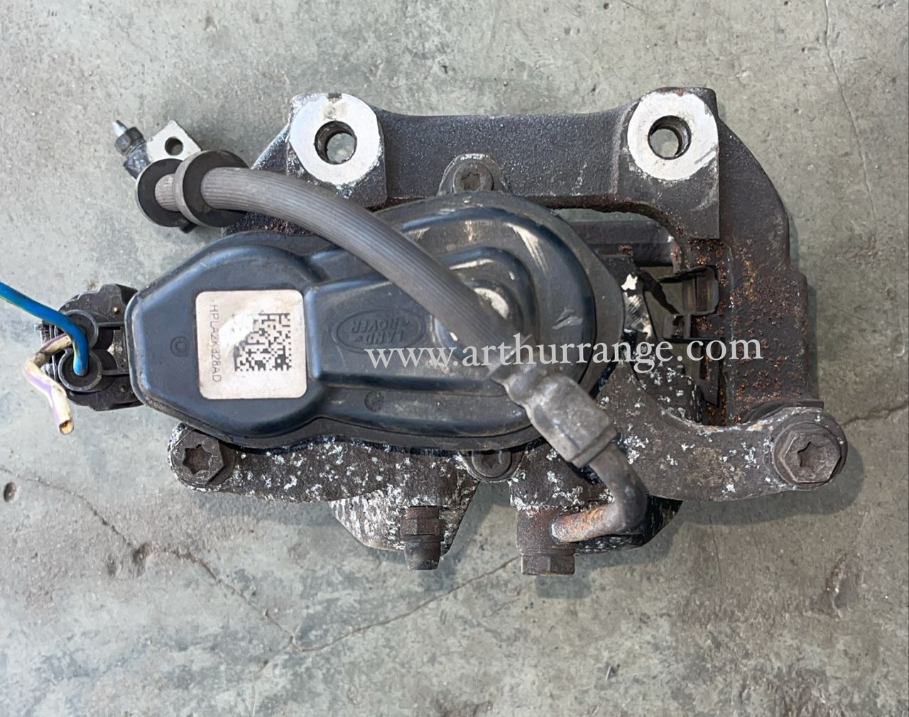 Back Caliper Sports / Voque 2018 - View 2
