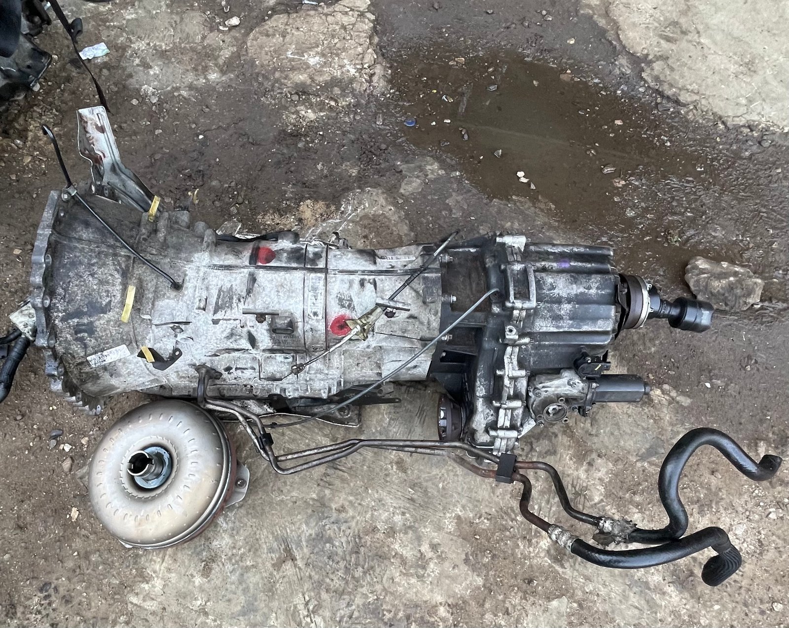Gear Box Sports 2006 