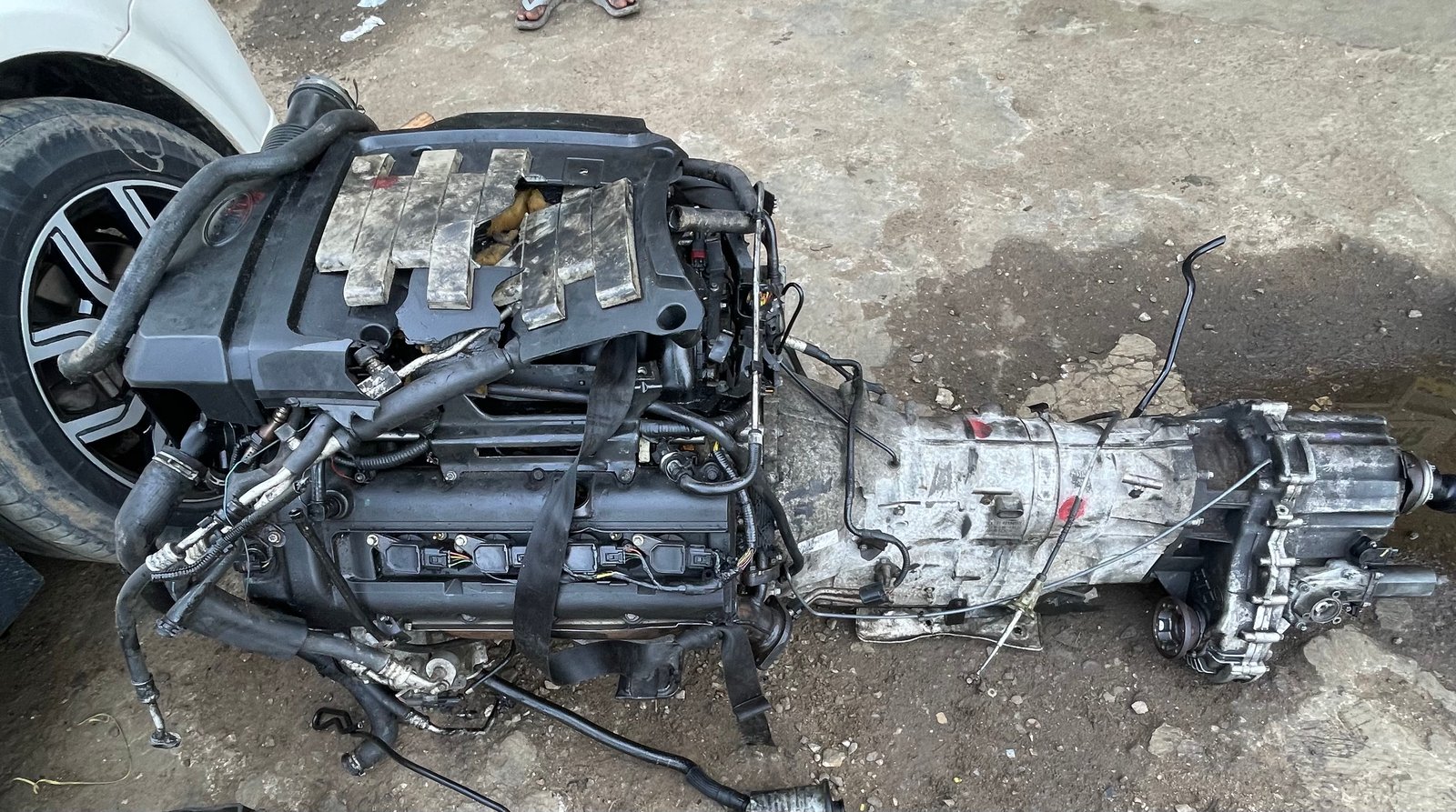 Complete Engine And Gear Sports 2006